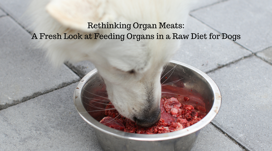 Rethinking Organ Meats: A Fresh Look at Feeding Organs in a Raw Diet for Dogs