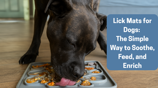 Lick Mats for Dogs: The Simple Way to Soothe, Feed, and Enrich