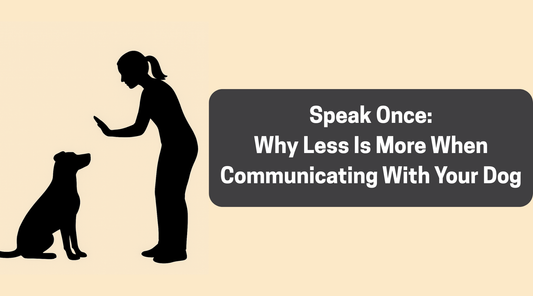 Speak Once: Why Less Is More When Communicating With Your Dog