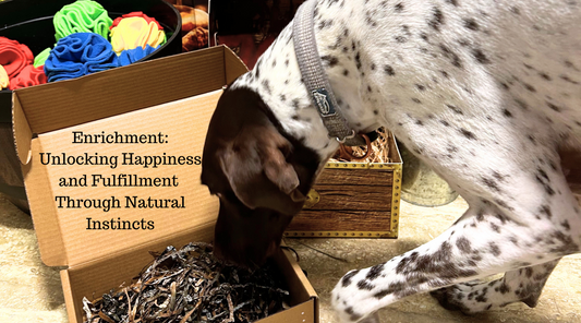 Enrichment: Unlocking Happiness and Fulfillment Through Natural Instincts