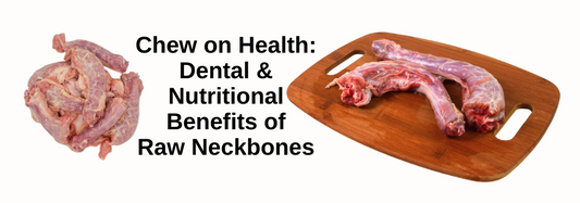 Chew on Health: Dental & Nutritional Benefits of Raw Neckbones