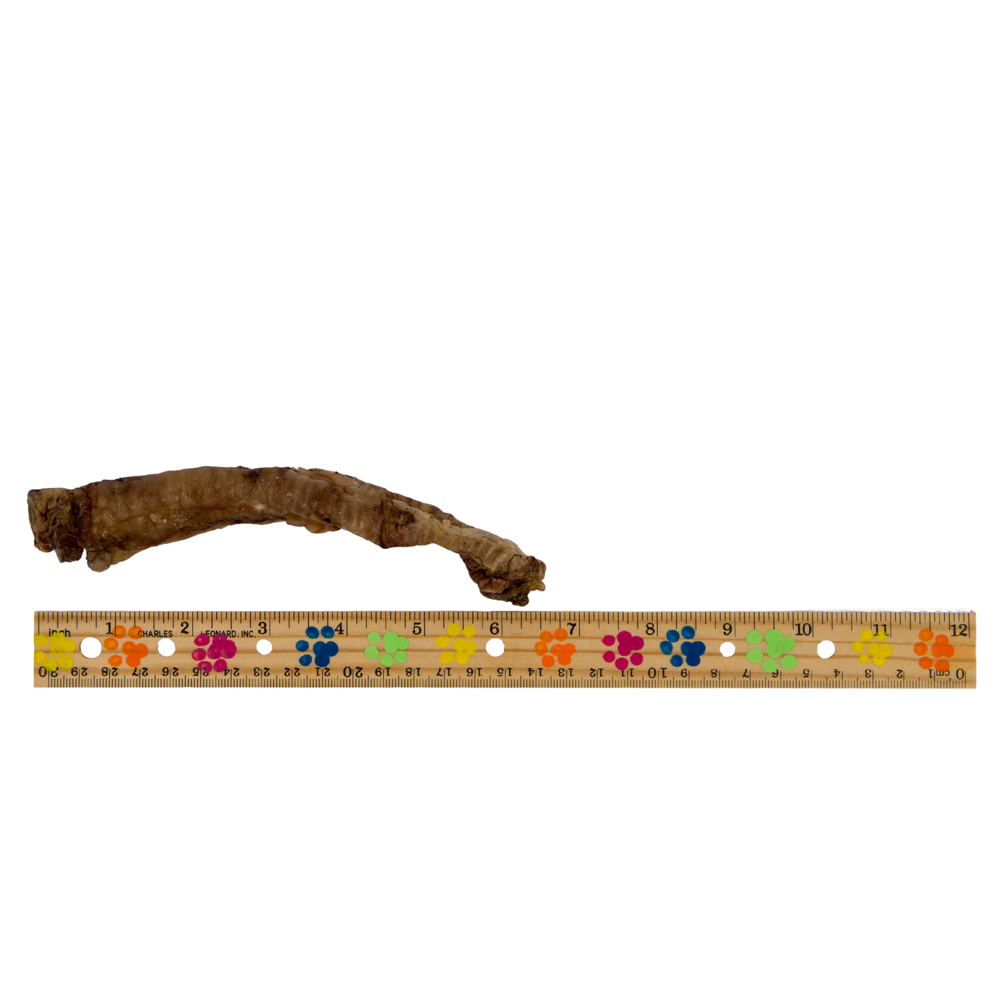 Lamb Trachea