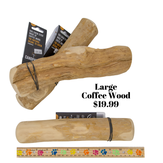 Coffee Wood Chew Large
