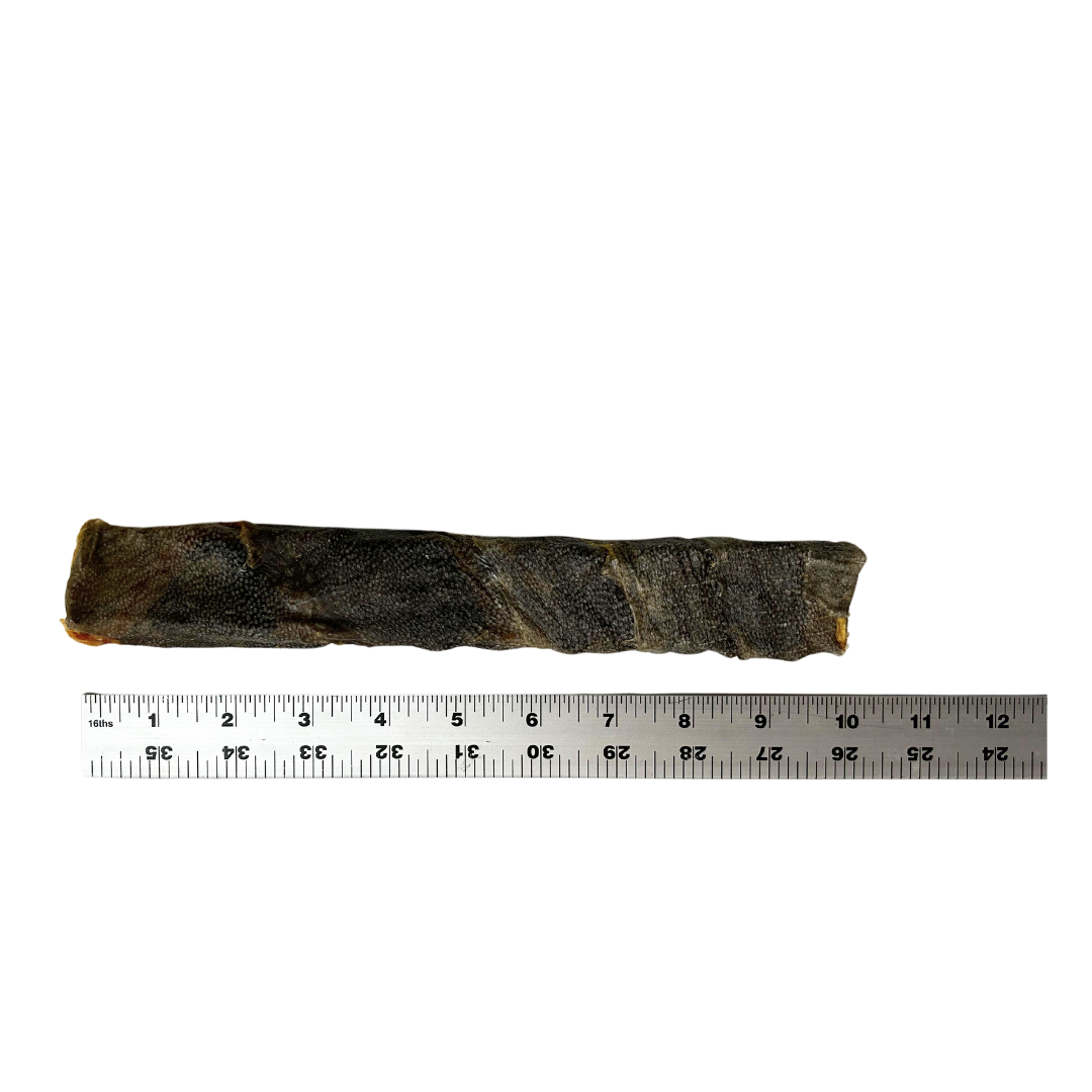 9" Wolffish Chewy Stick