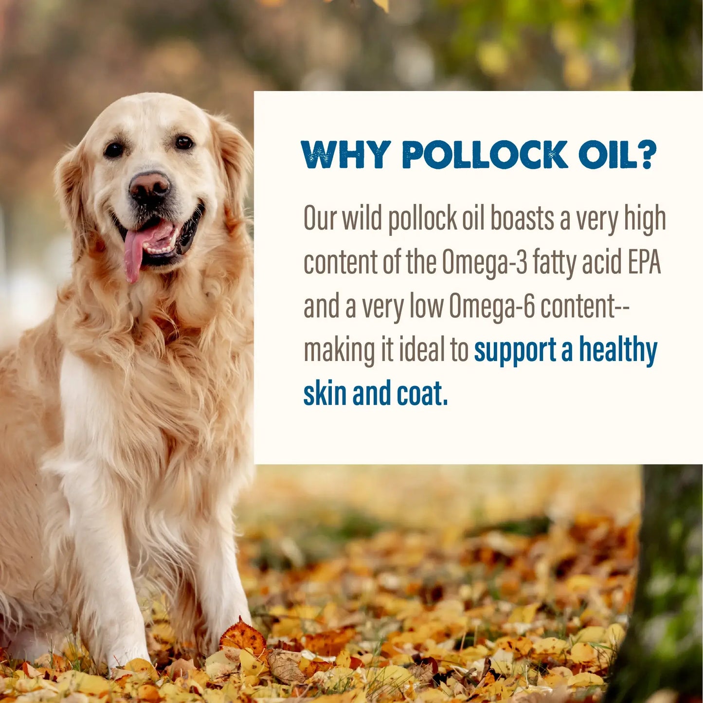 Grizzly - Pollock Oil