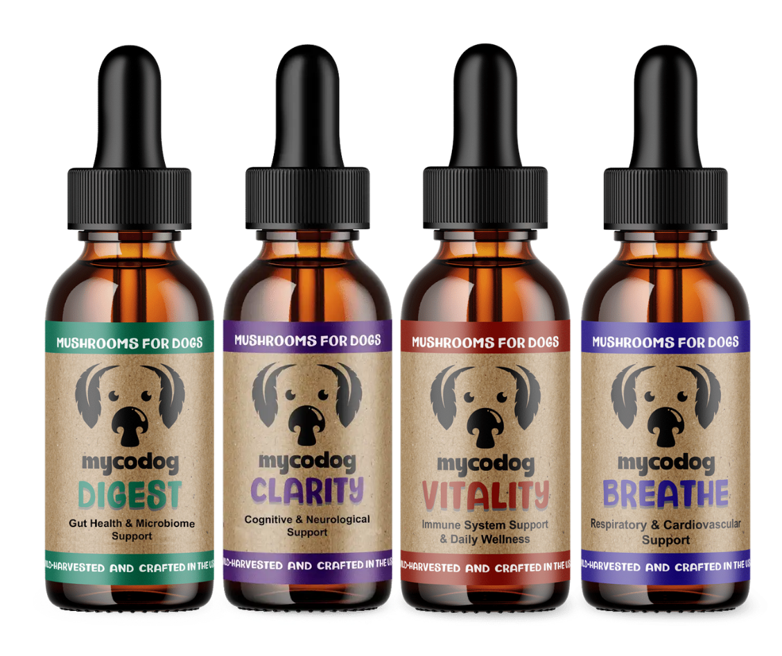 mycodog Breathe