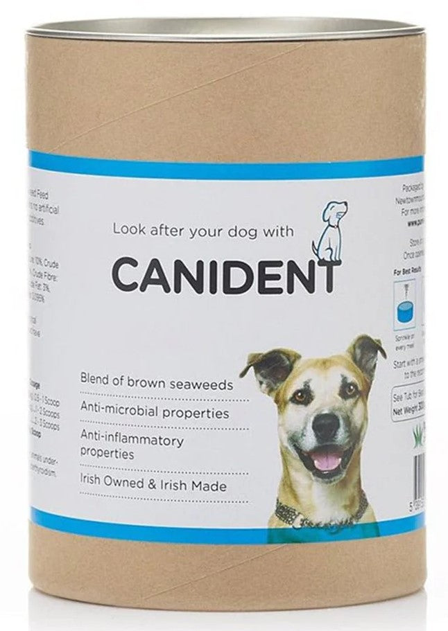 Formerly Canident - Dr. Brady's Dental Pro Thyroid