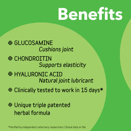 InClover Canine Connectin Joint Supplement - 12 oz. Powder