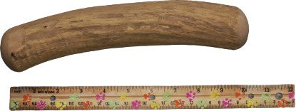 Coffee Wood Chew - Medium