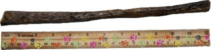 Honey Coated Bully Stick 12"