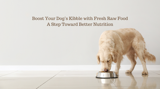 Boost Your Dog’s Kibble with Fresh Raw Food—A Step Toward Better Nutrition