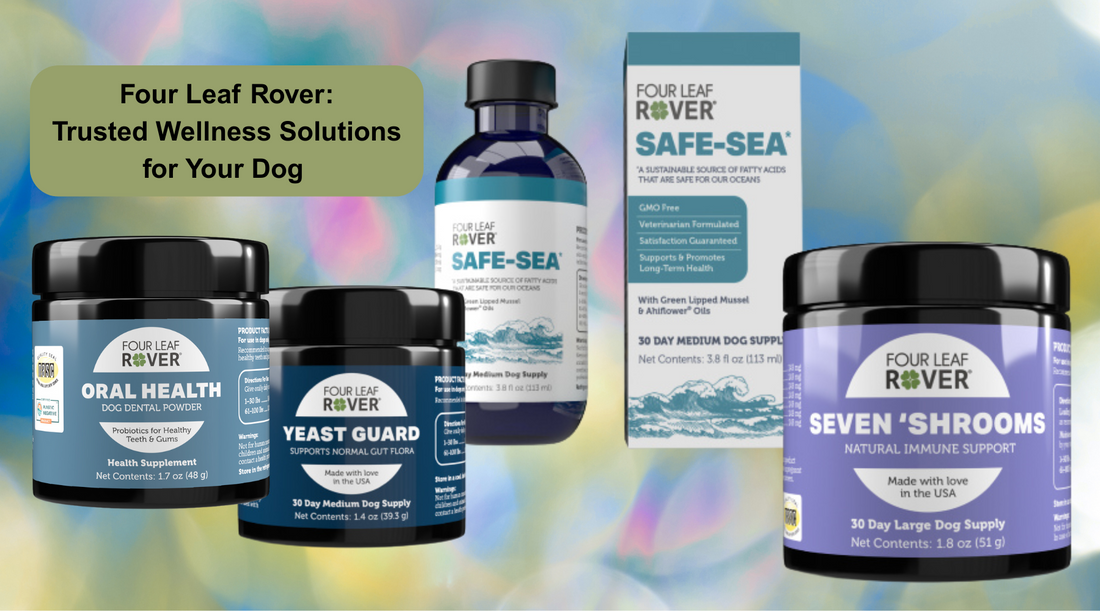 Four Leaf Rover: Trusted Wellness Solutions for Your Dog