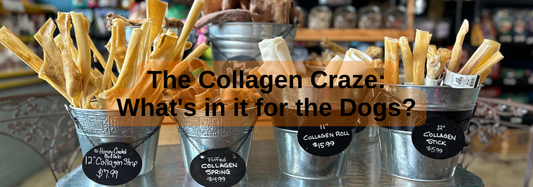 The Collagen Craze: What's in it for the Dogs?