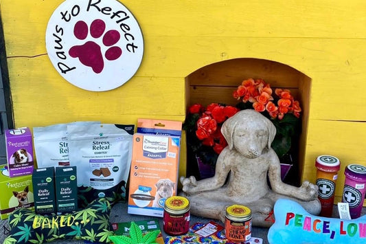 Zen Dog sitting in a dog house surrounded by CBD and Calming products