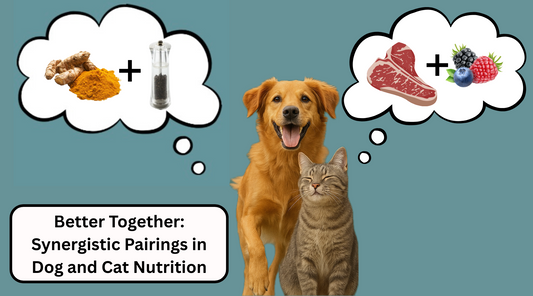 Better Together: Synergistic Pairings in Dog and Cat Nutrition