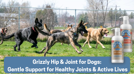 Grizzly Hip & Joint for Dogs: Gentle Support for Healthy Joints & Active Lives