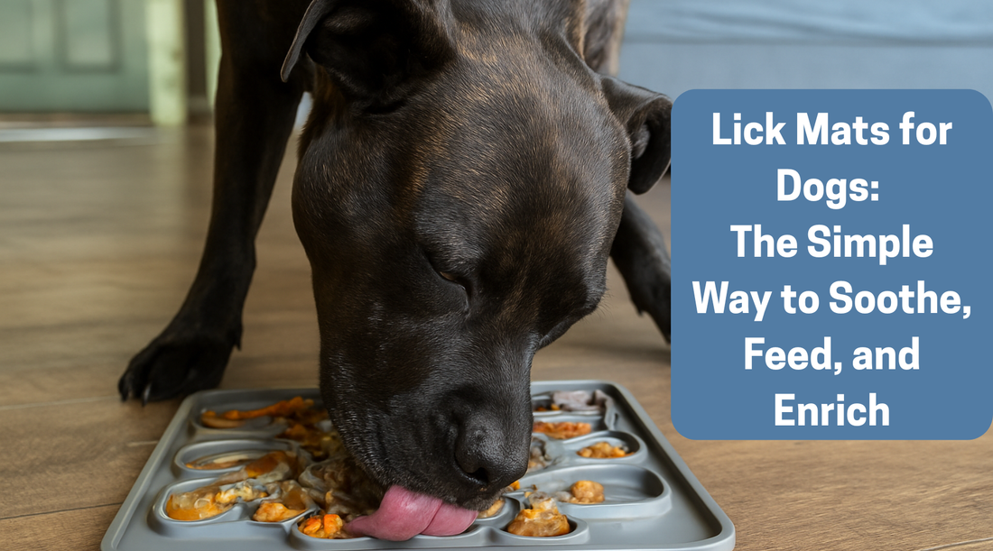 Lick Mats for Dogs: The Simple Way to Soothe, Feed, and Enrich