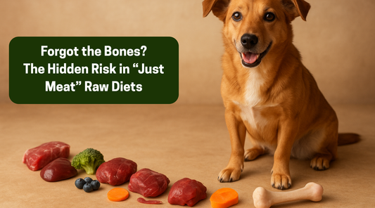 Forgot the Bones? The Hidden Risk in “Just Meat” Raw Diets