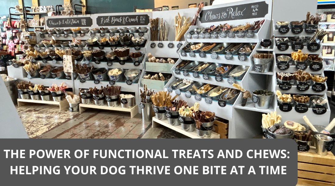 The Power of Functional Treats and Chews: Helping Your Dog Thrive One Bite at a Time