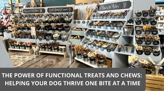 The Power of Functional Treats and Chews: Helping Your Dog Thrive One Bite at a Time