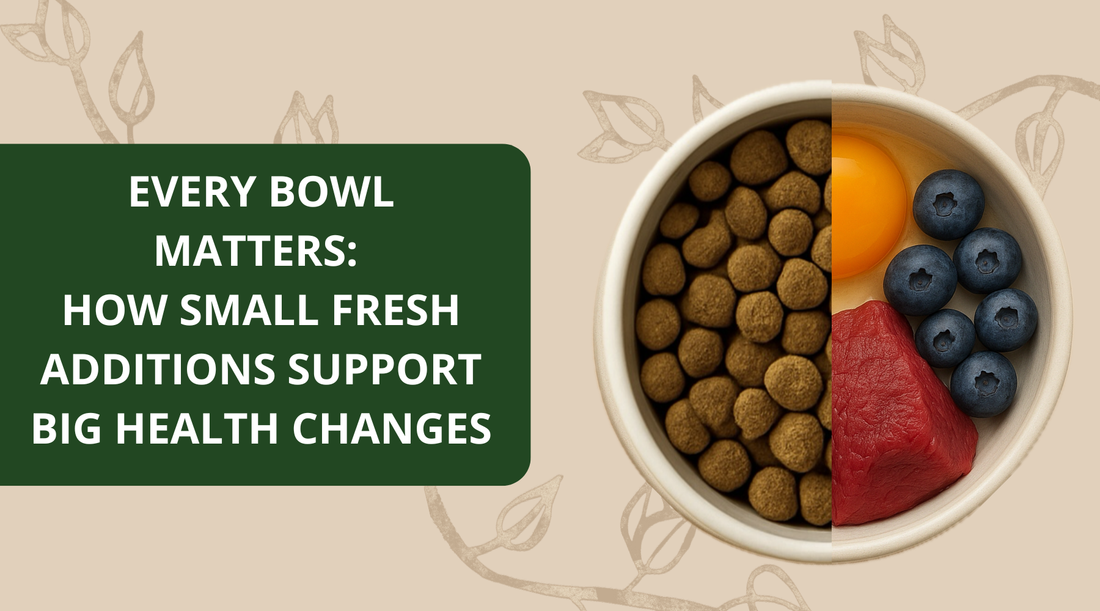 Every Bowl Matters: How Small Fresh Additions Support Big Health Changes