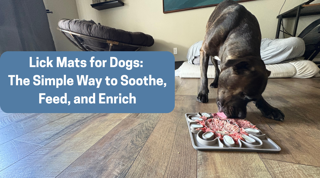 Lick Mats for Dogs: The Simple Way to Soothe, Feed, and Enrich