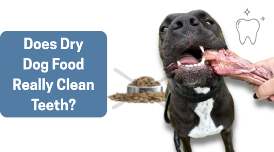 Does Dry Dog Food Really Clean Teeth?