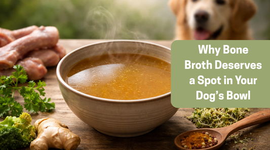 Why Bone Broth Deserves a Spot in Your Dog’s Bowl