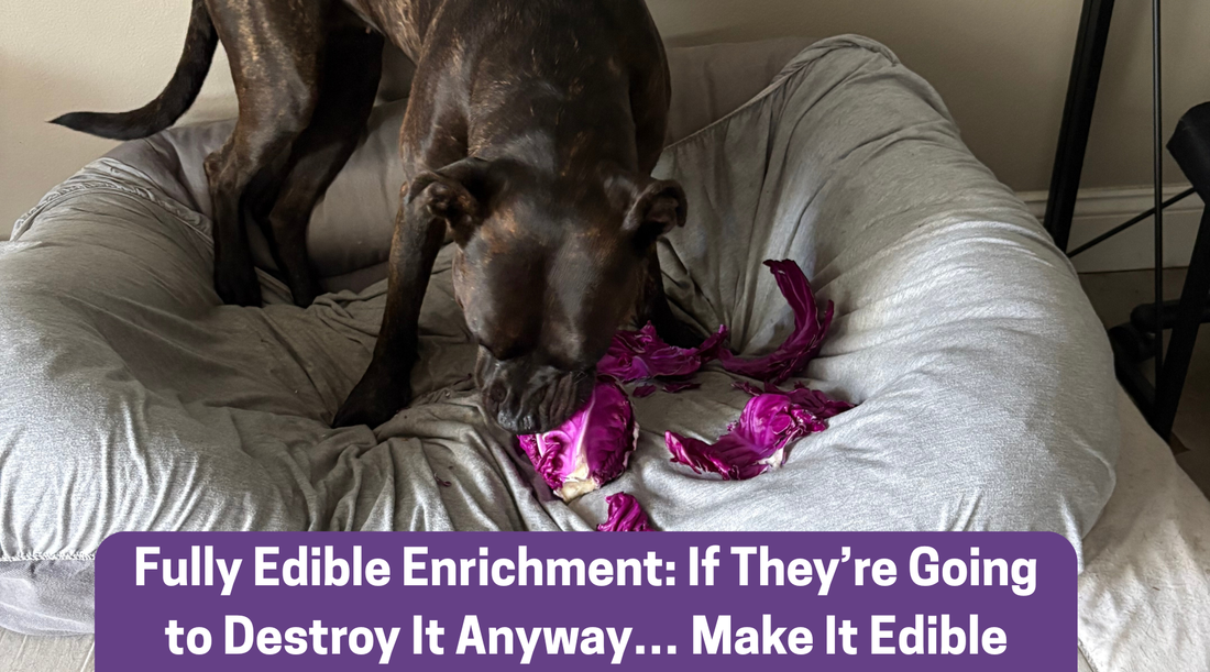 Fully Edible Enrichment: If They’re Going to Destroy It Anyway… Make It Edible