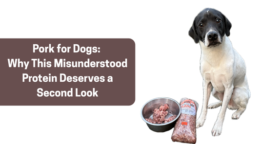 Pork for Dogs: Why This Misunderstood Protein Deserves a Second Look