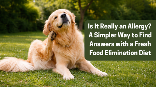 Is It Really an Allergy? A Simpler Way to Find Answers with a Fresh Food Elimination Diet