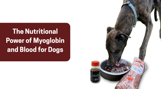 The Nutritional Power of Myoglobin and Blood for Dogs
