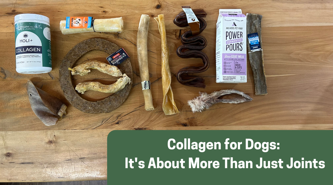 Collagen for Dogs: It's About More Than Just Joints