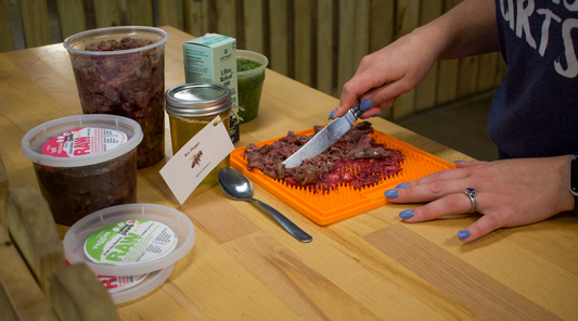 Unleashing the Potential of Raw Dog Food: More Than Just Meals!