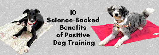 10 Science-Backed Benefits of Positive Dog Training