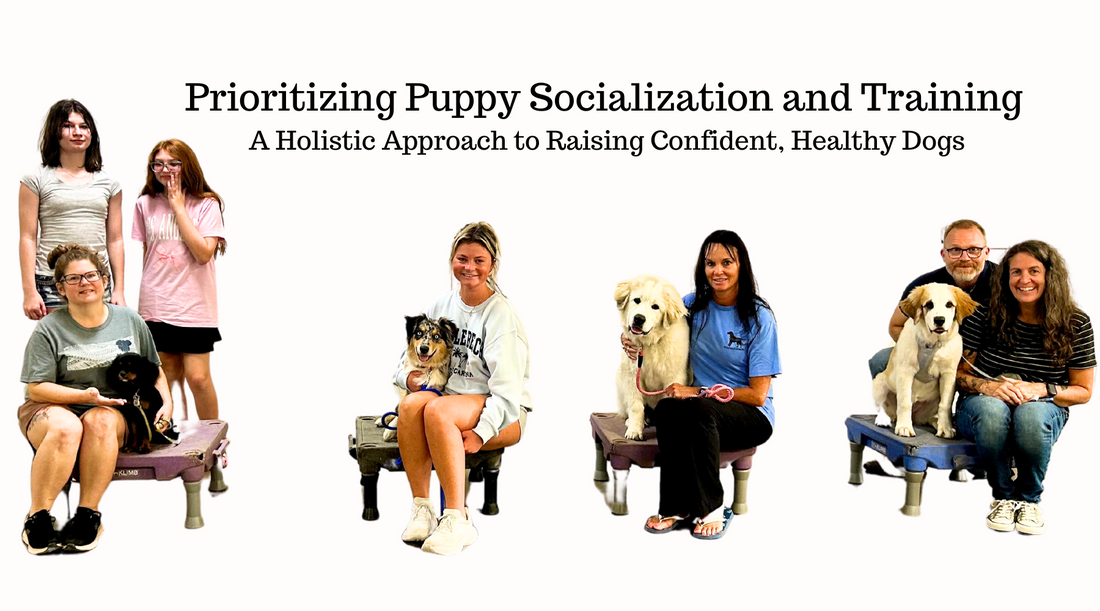 Prioritizing Puppy Socialization and Training