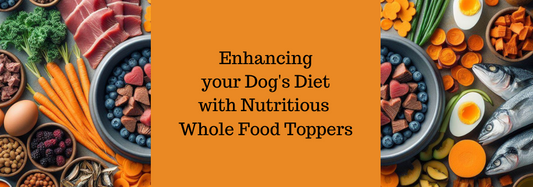 Enhancing your Dog's Diet with Nutritious Whole Food Toppers