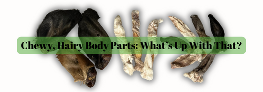 Chewy, Hairy Body Parts - What’s Up With That?