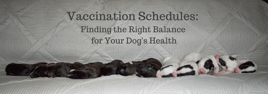 Vaccination Schedules: Finding the Right Balance for Your Dog's Health