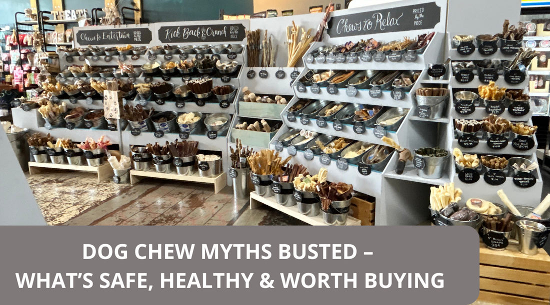 Dog Chew Myths Busted – What’s Safe, Healthy & Worth Buying