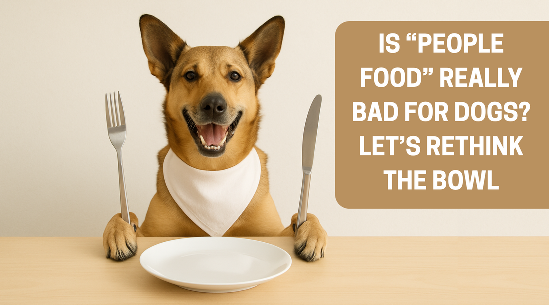 Is "People Food" Really Bad for Dogs? Let's Rethink the Bowl