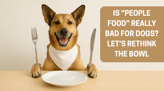 Is "People Food" Really Bad for Dogs? Let's Rethink the Bowl