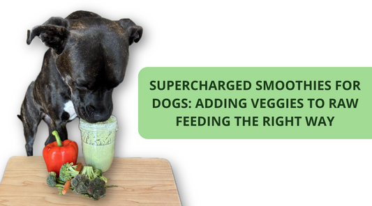 Supercharged Smoothies for Dogs: Adding Veggies to Raw Feeding the Right Way
