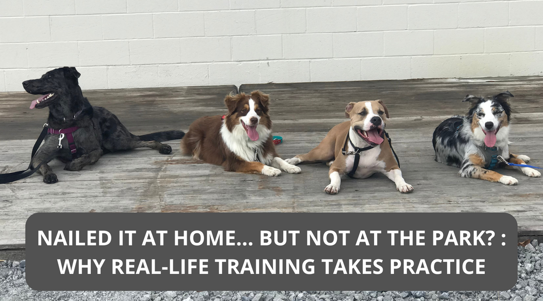 Nailed It at Home… But Not at the Park?: Why Real-Life Training Takes Practice