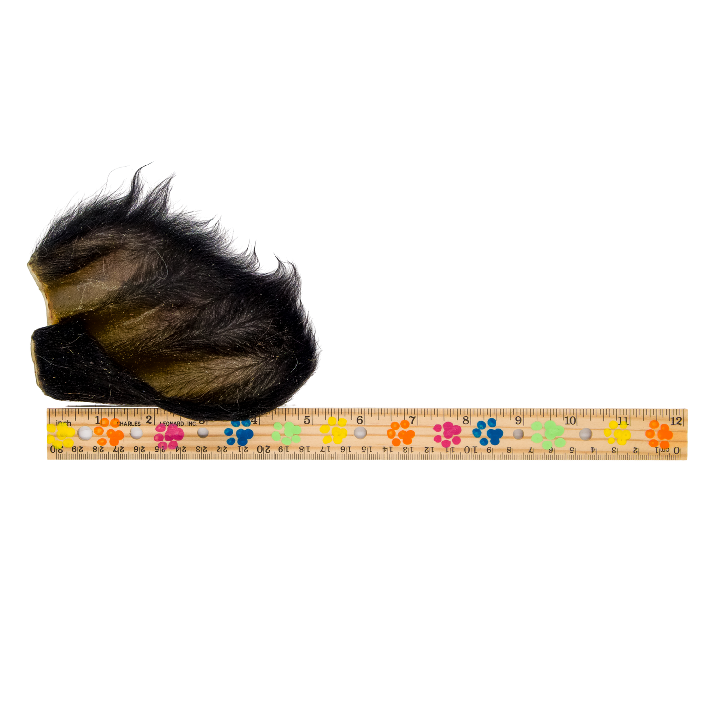 Hairy Cow Ears