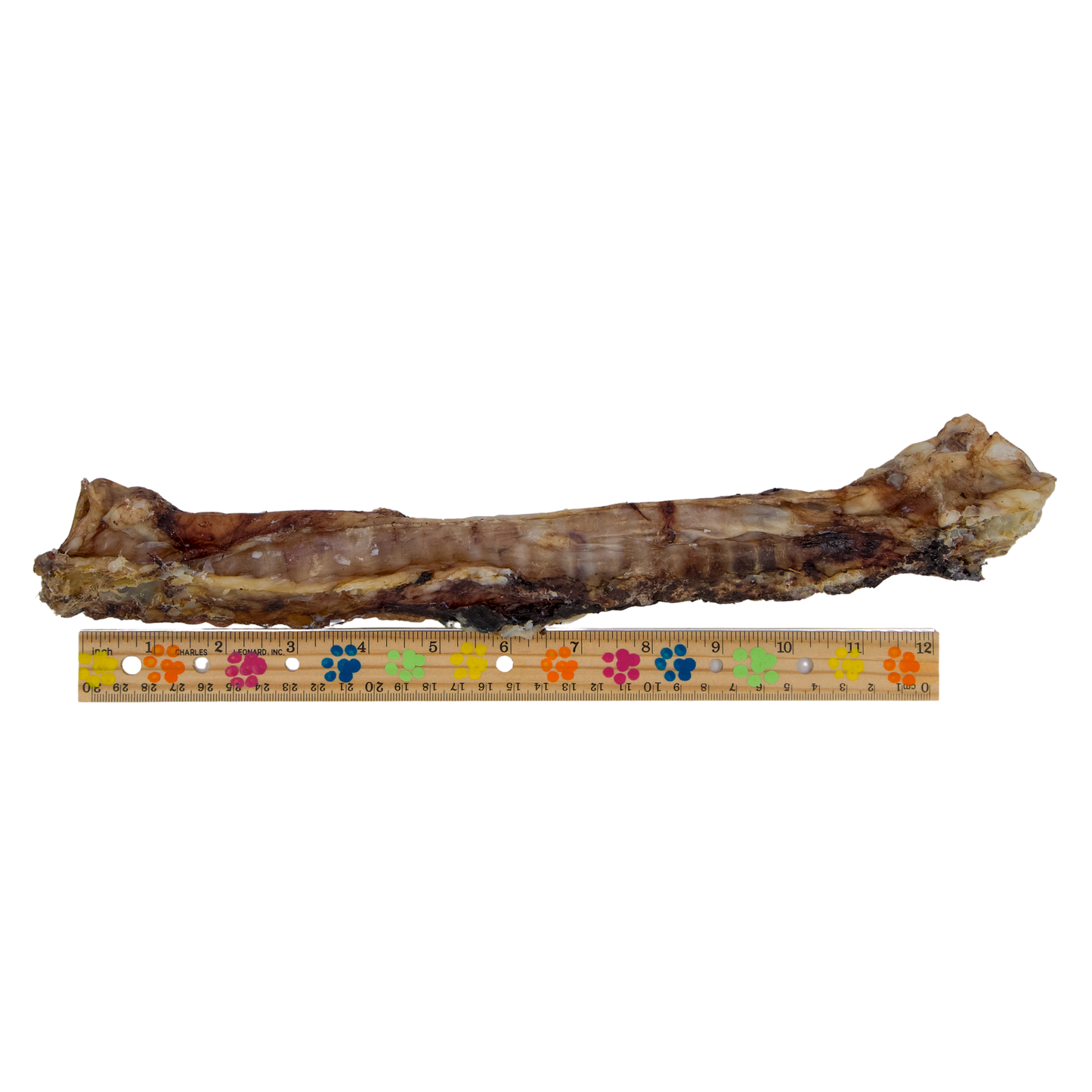 XL Beef Trachea