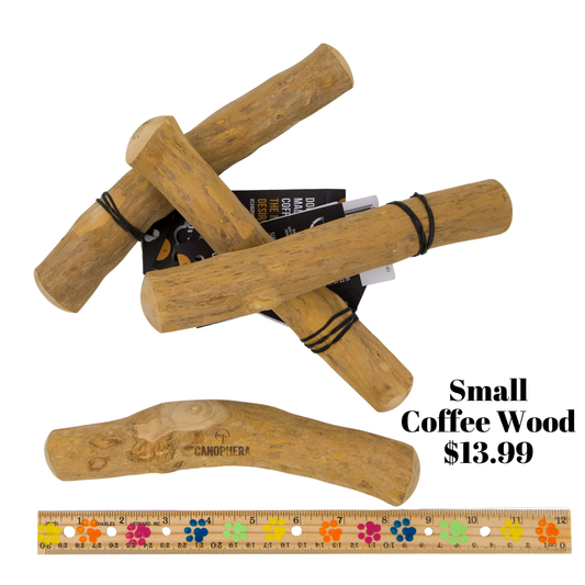 Coffee Wood Chew - Small