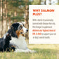 Grizzly - Salmon Oil