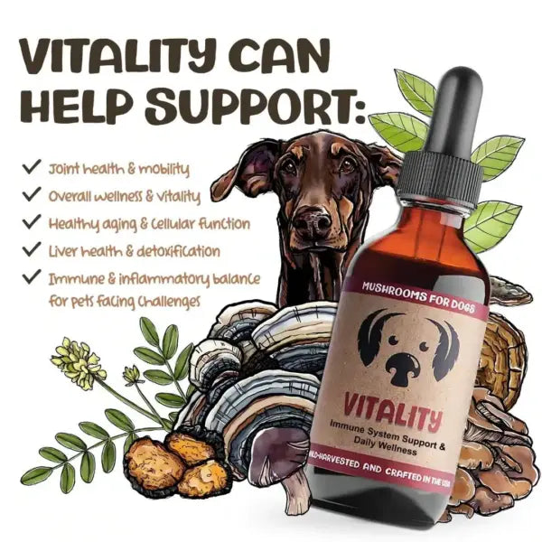 mycodog Vitality