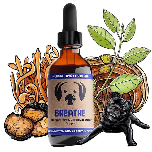 mycodog Breathe